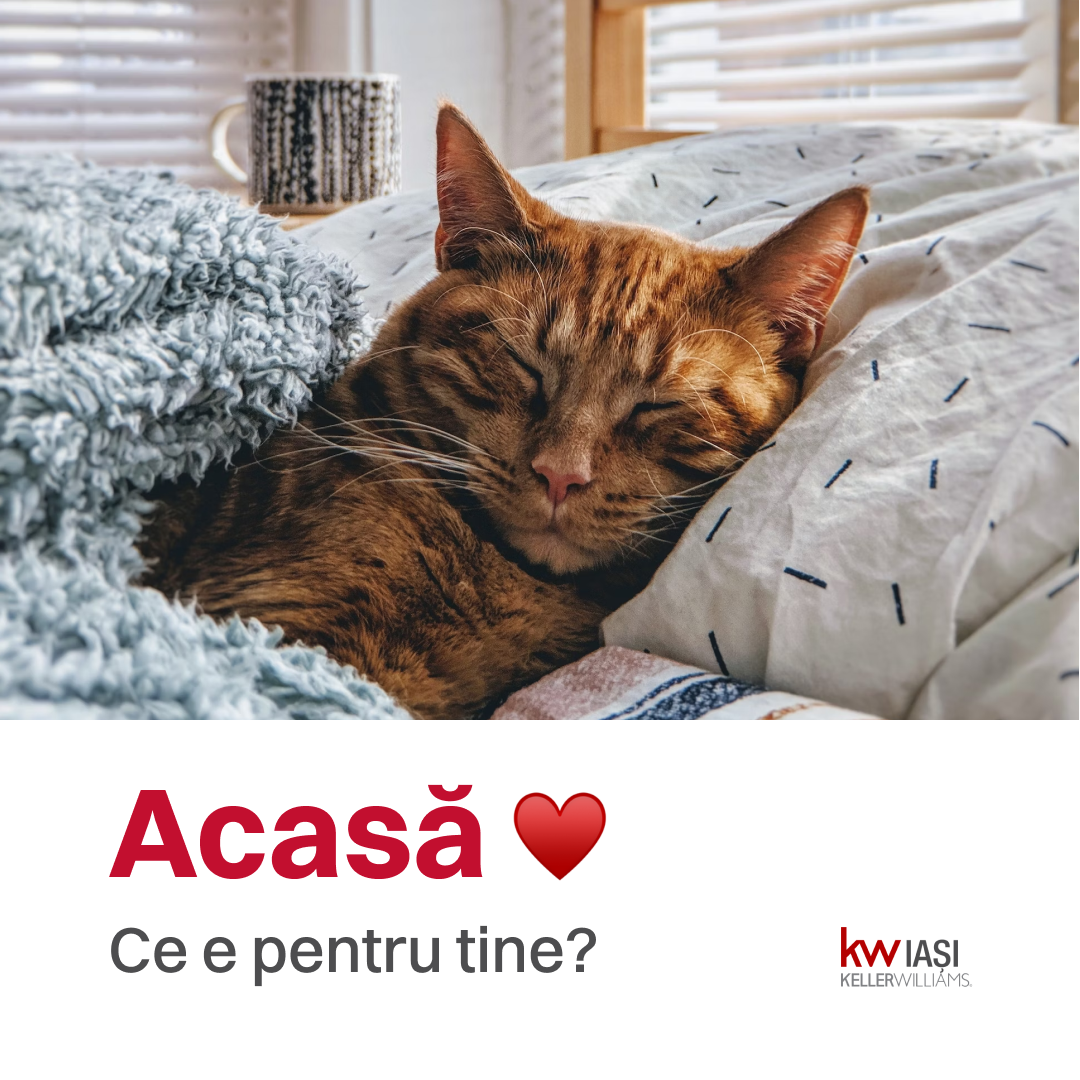 acasa kwi